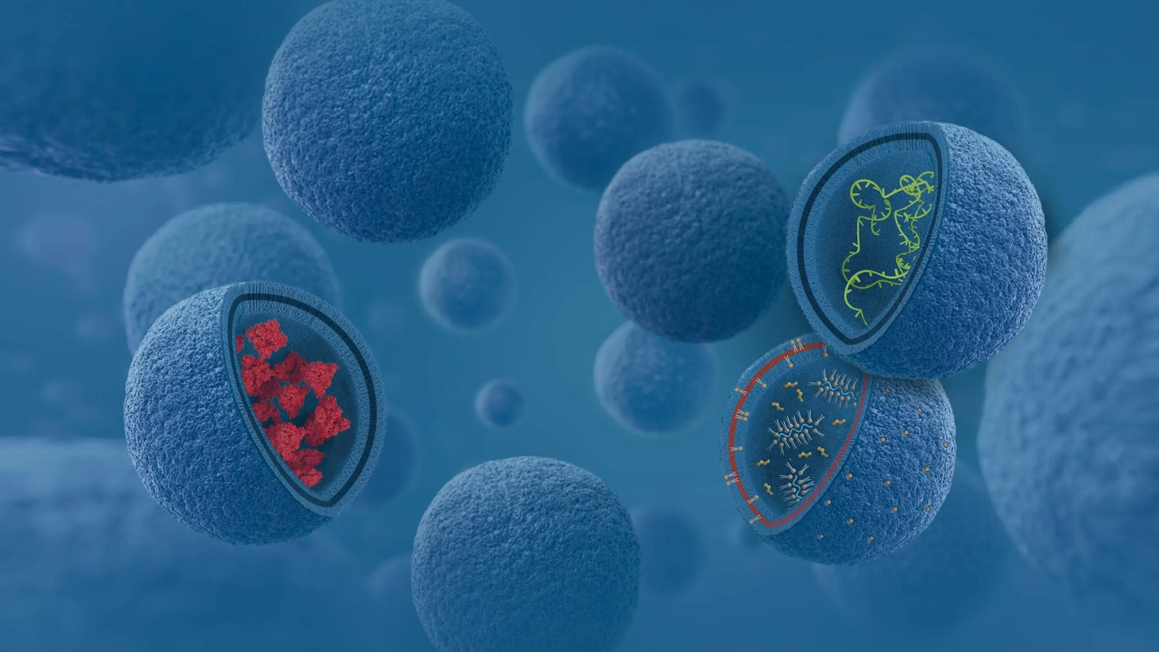 mrna-vaccines
