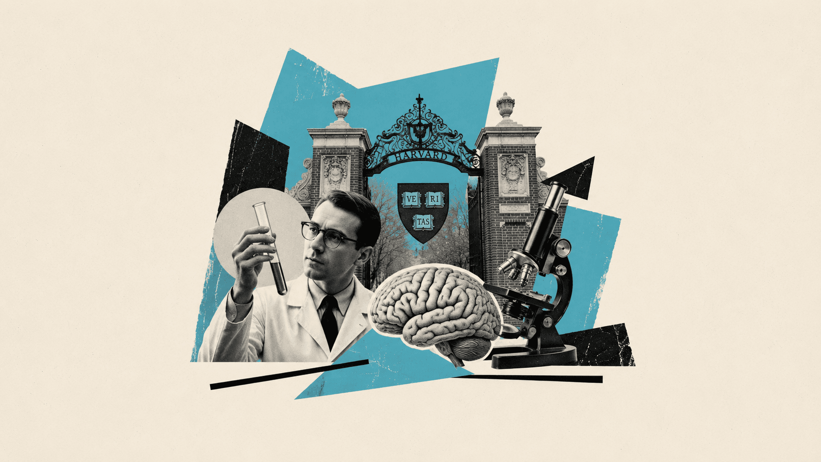 harvard_ai_model